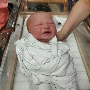 Meet your Posher, Gladys